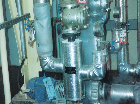 emilv002005.jpg