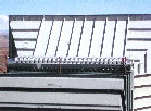 emilv002008.jpg
