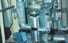 emilv003001.jpg